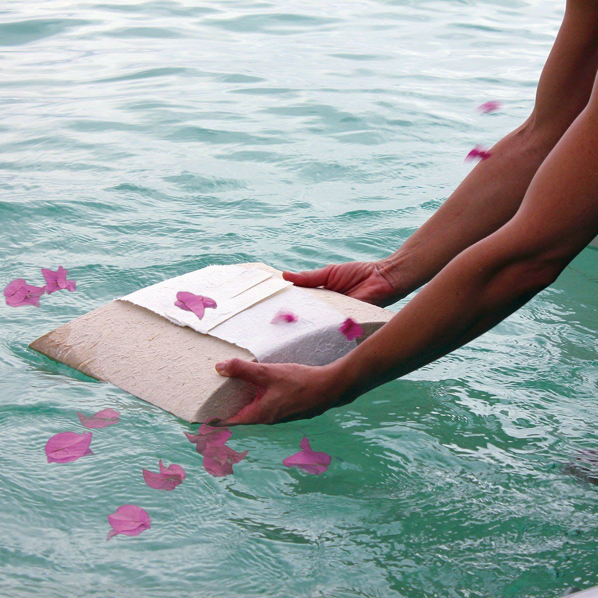 A person is holding a book in the water