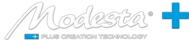 Modesta Plus logo in light gray with a blue plus sign and small blue text beneath