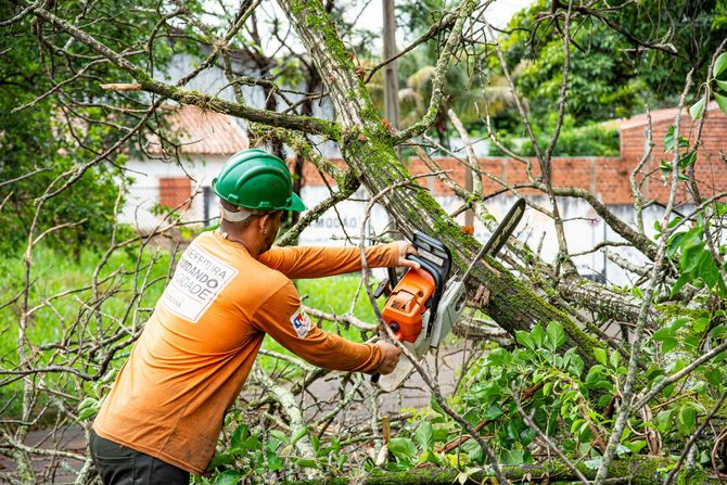 Bountiful Landscape Pristine crew safely cutting down a damaged backyard tree