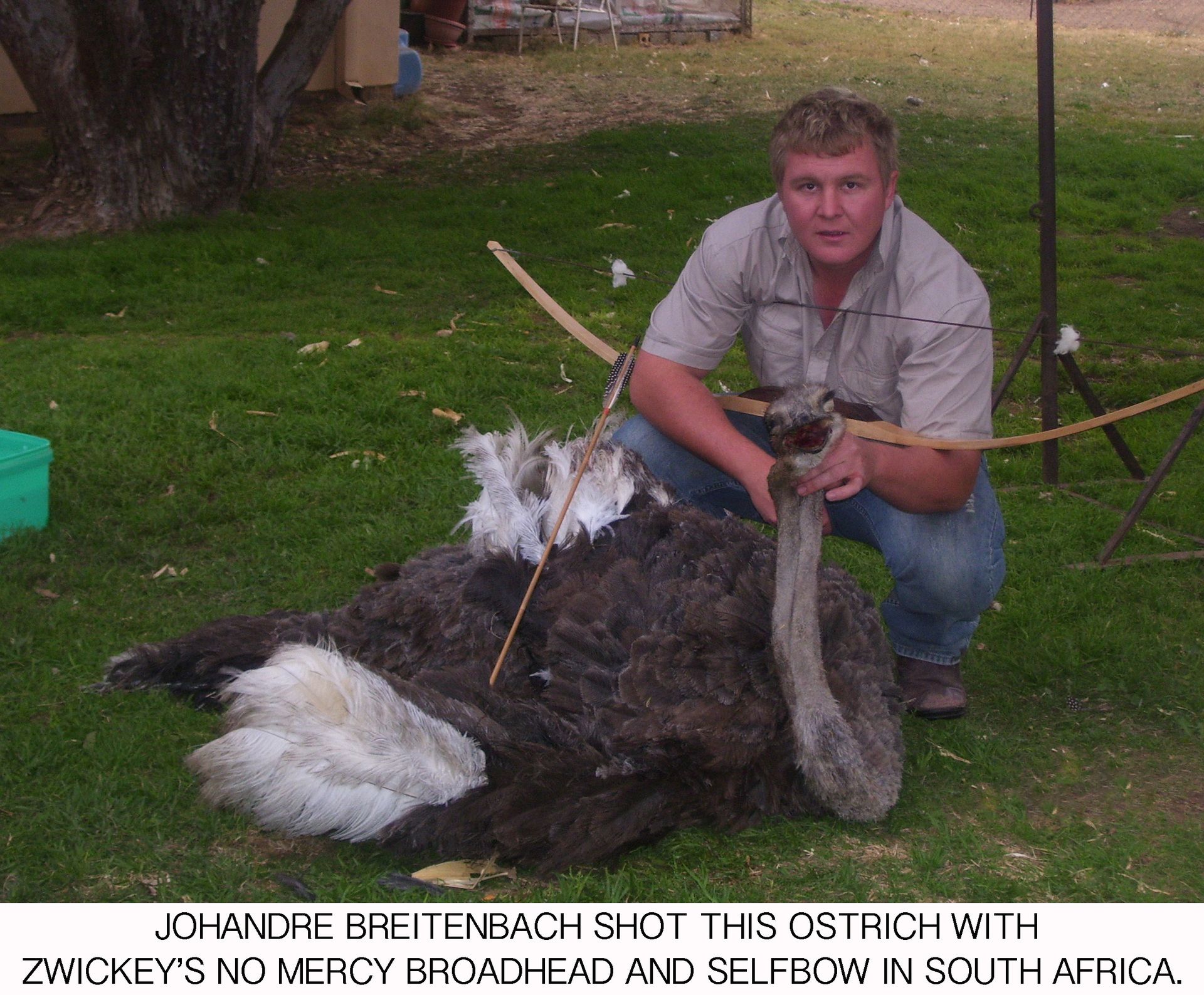 zwickeyarcheryinc