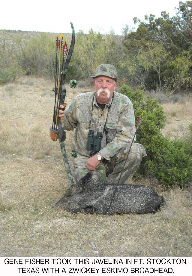zwickeyarcheryinc