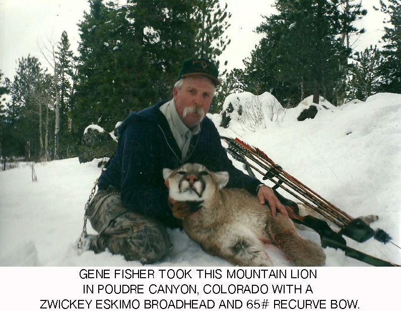 zwickeyarcheryinc