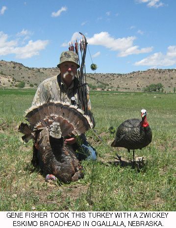 zwickeyarcheryinc