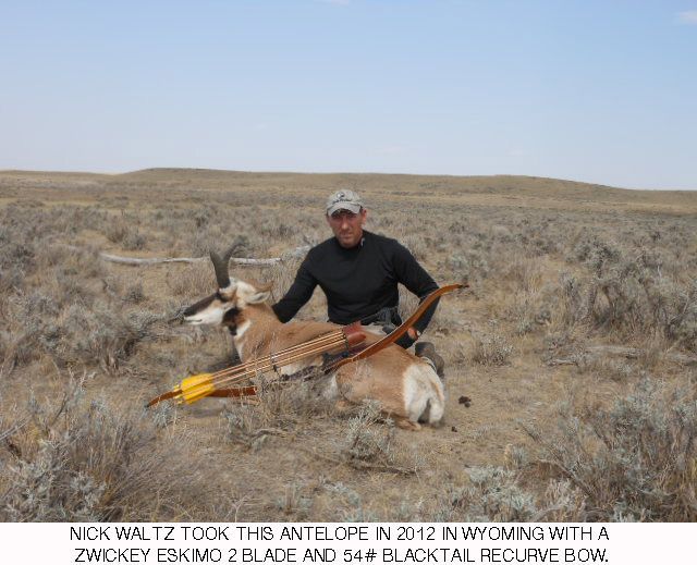 zwickeyarcheryinc