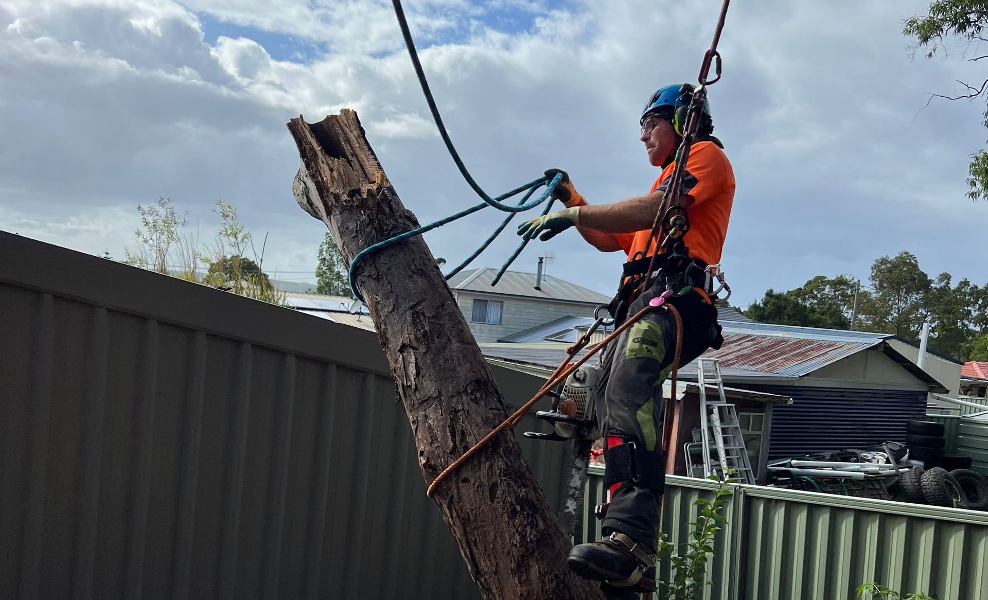 A Man Is Cutting a Tree from A Crane — Central Coast Tree Removal In Lake Macquarie, NSW