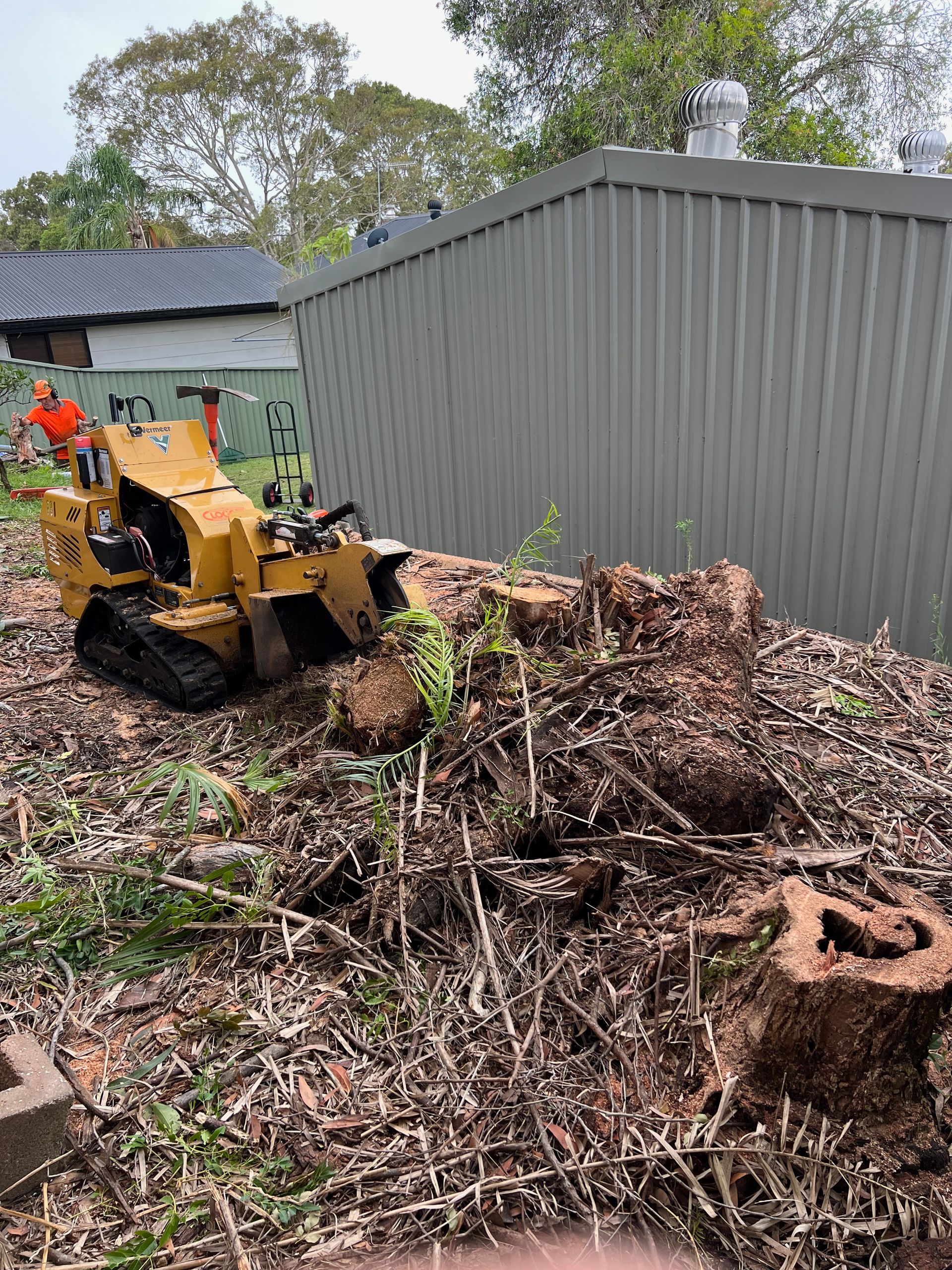 Stump remover machine in a backyard. — Central Coast Tree Removal In Lake Haven, NSW