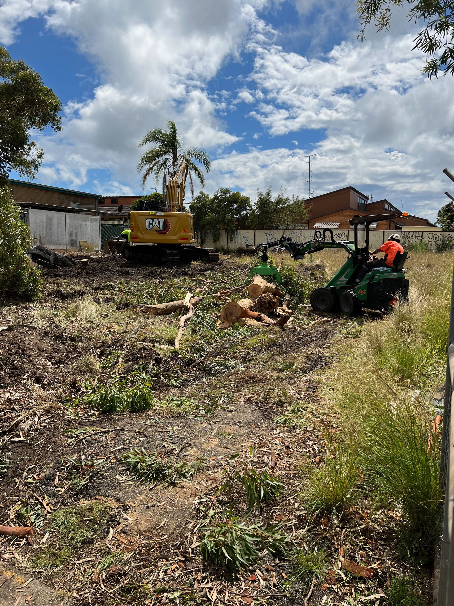 A bobcat Is Cutting Down Trees in a block of land clearing the area — Central Coast Tree Removal In Wyongah, NSW