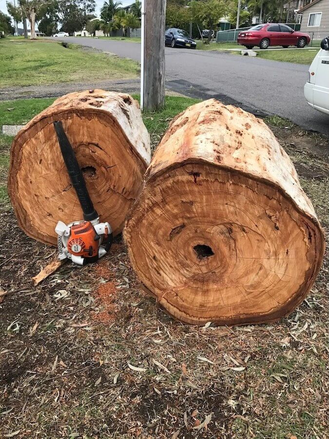 A chainsaw is sitting next to two large logs — Central Coast Tree Removal In Wyongah, NSW