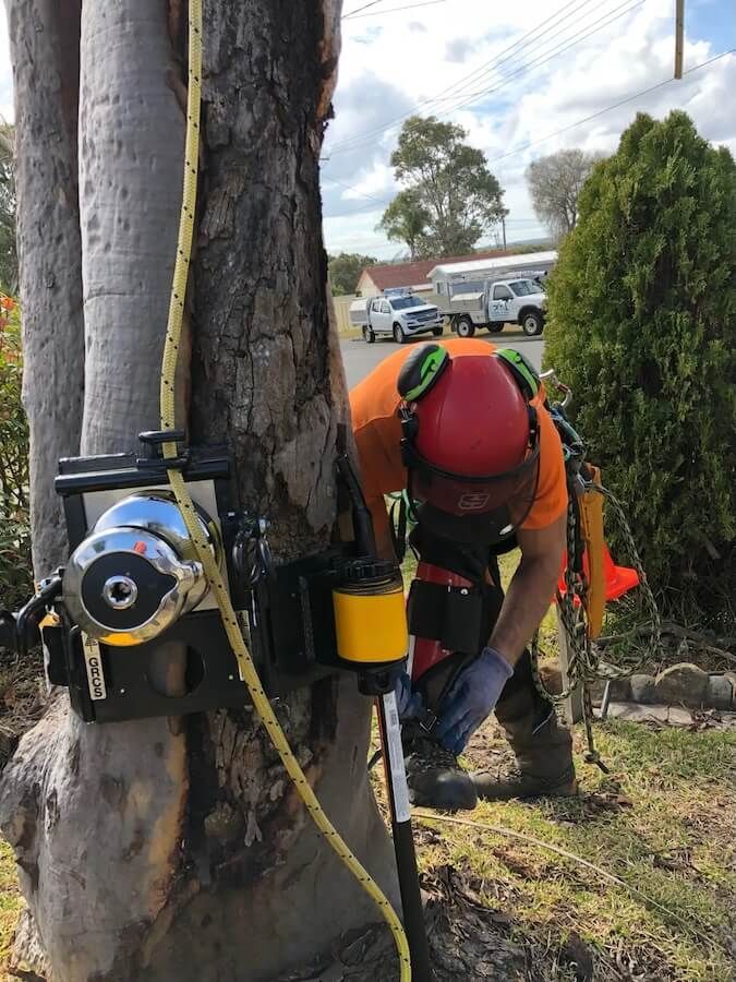 A man is cutting a tree branch with a chainsaw — Central Coast Tree Removal In Wyee, NSW