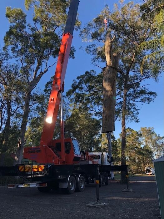 A red truck with a crane attached to it — Central Coast Tree Removal In Wyee, NSW