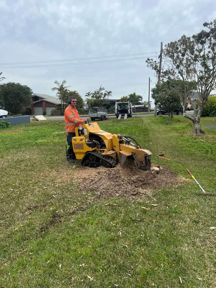 A Man is Using a Stump Grinder to Remove a Tree Stump — Central Coast Tree Removal In Wyongah, NSW