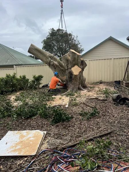 A Man Is Cutting Down a Large Tree Stump with A Crane — Central Coast Tree Removal In Wyongah, NSW