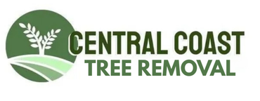 Arborist on the Central Coast Arborist on the Central Coast