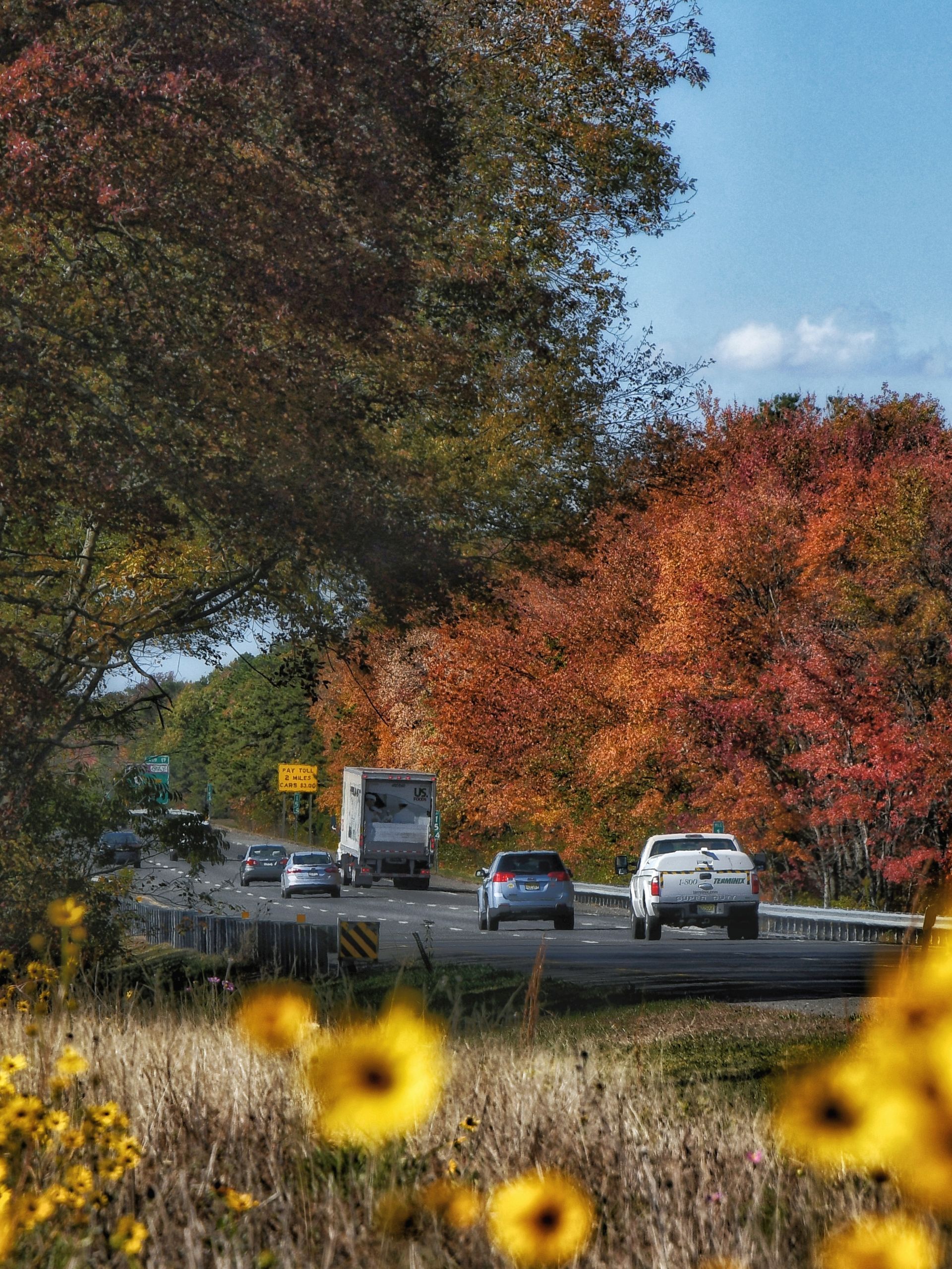 Cars and a truck travel down a highway lined with trees displaying vibrant autumn colors of orange, red, and yellow.
