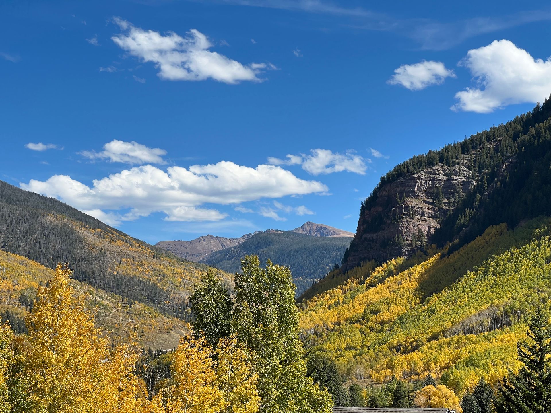 A mountain valley filled with trees and mountains in the background