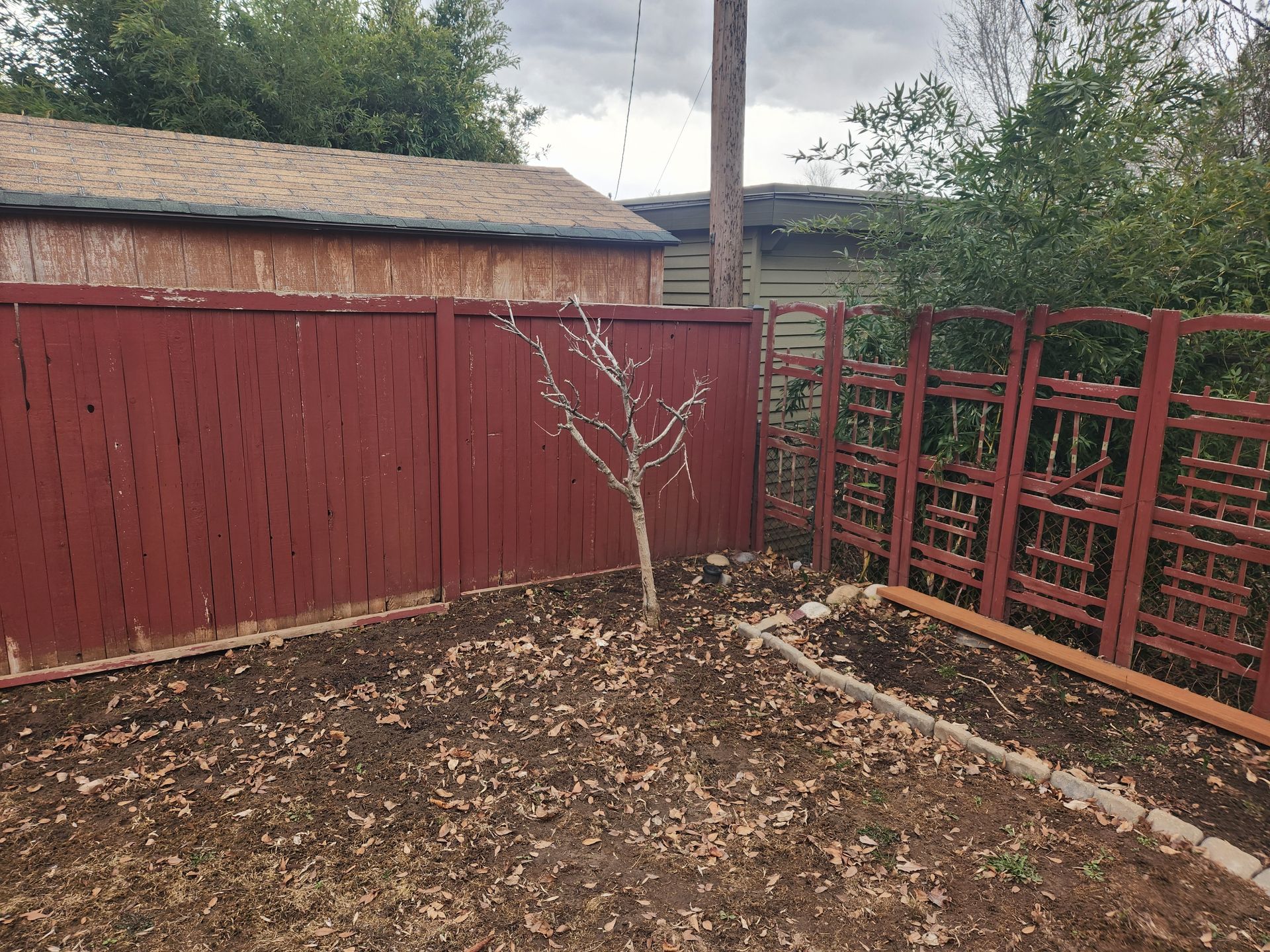 Small fenced backyard with a red wooden fence, leaf-covered ground, and a young tree.