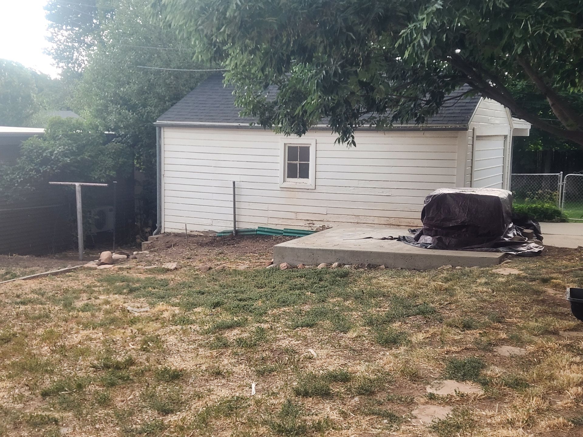 Backyard with a small white shed, concrete patio, and a covered grill under trees.