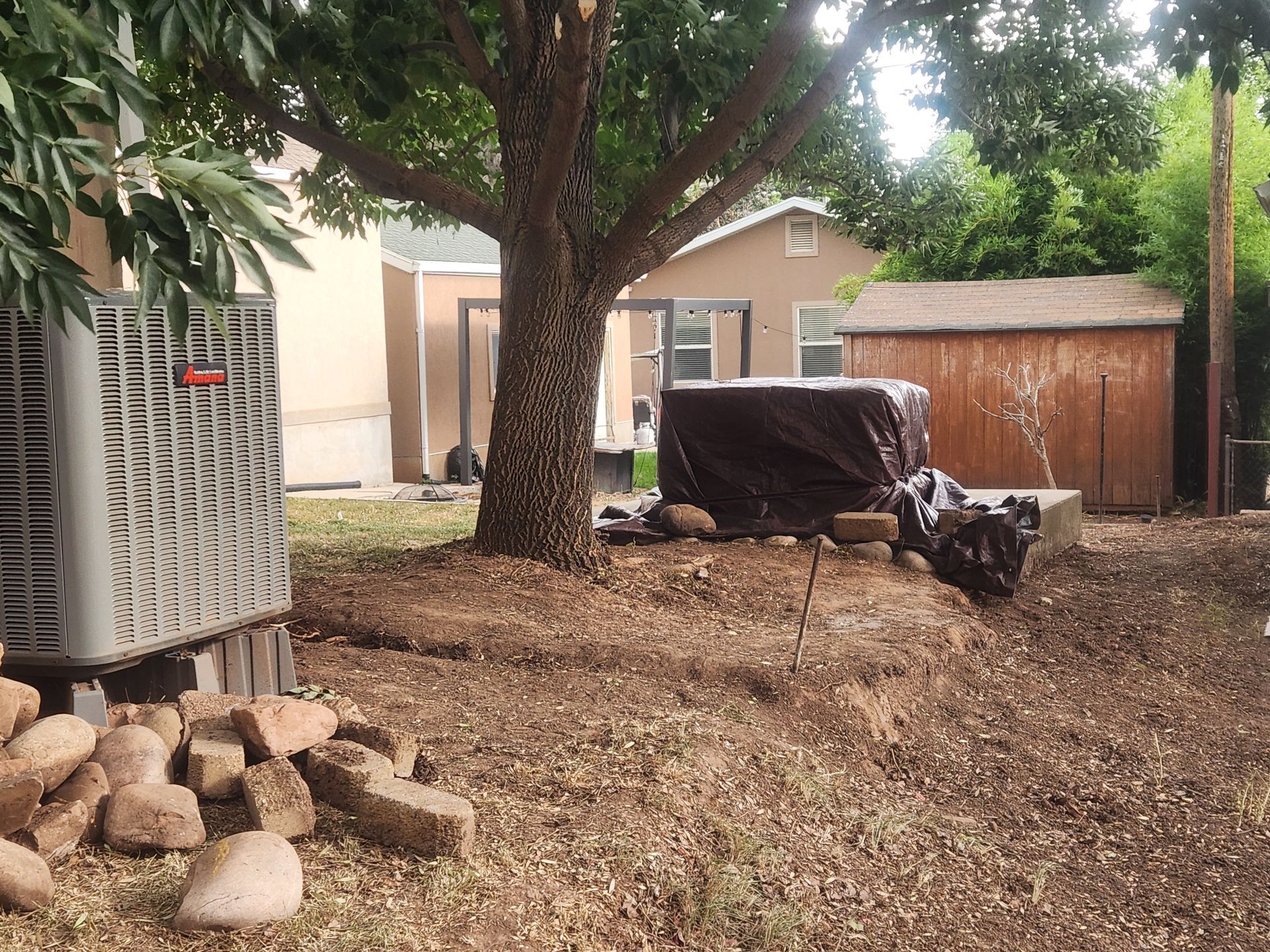Backyard with a large tree, shed, woodpile, and covered grill on dry ground