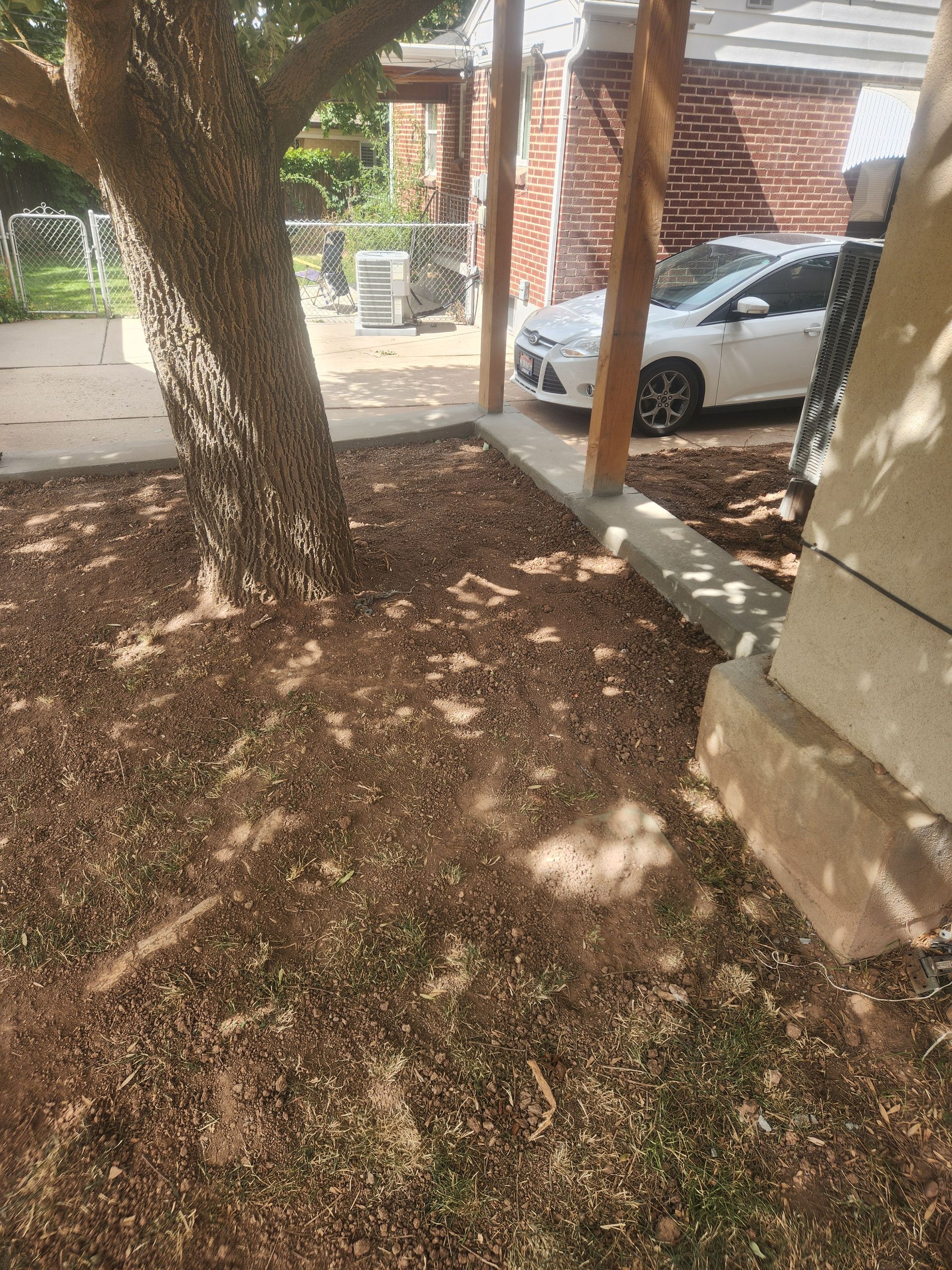 Tree-shaded yard with dry leaves, a white car, and brick buildings in the background.