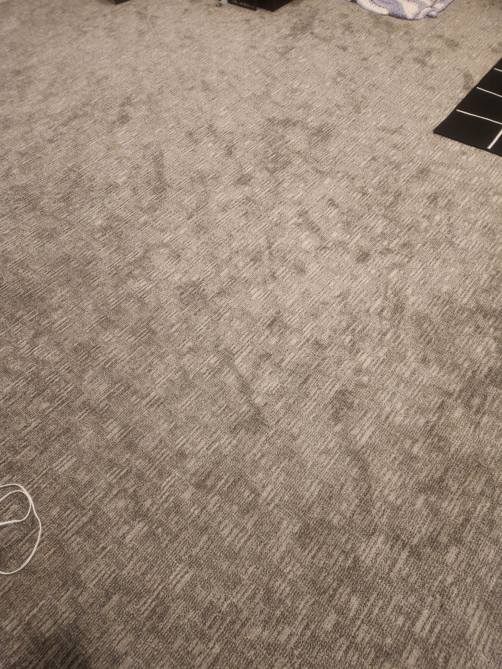 Close-up of a beige carpet with a textured pattern and a small black-and-white object at the top right.