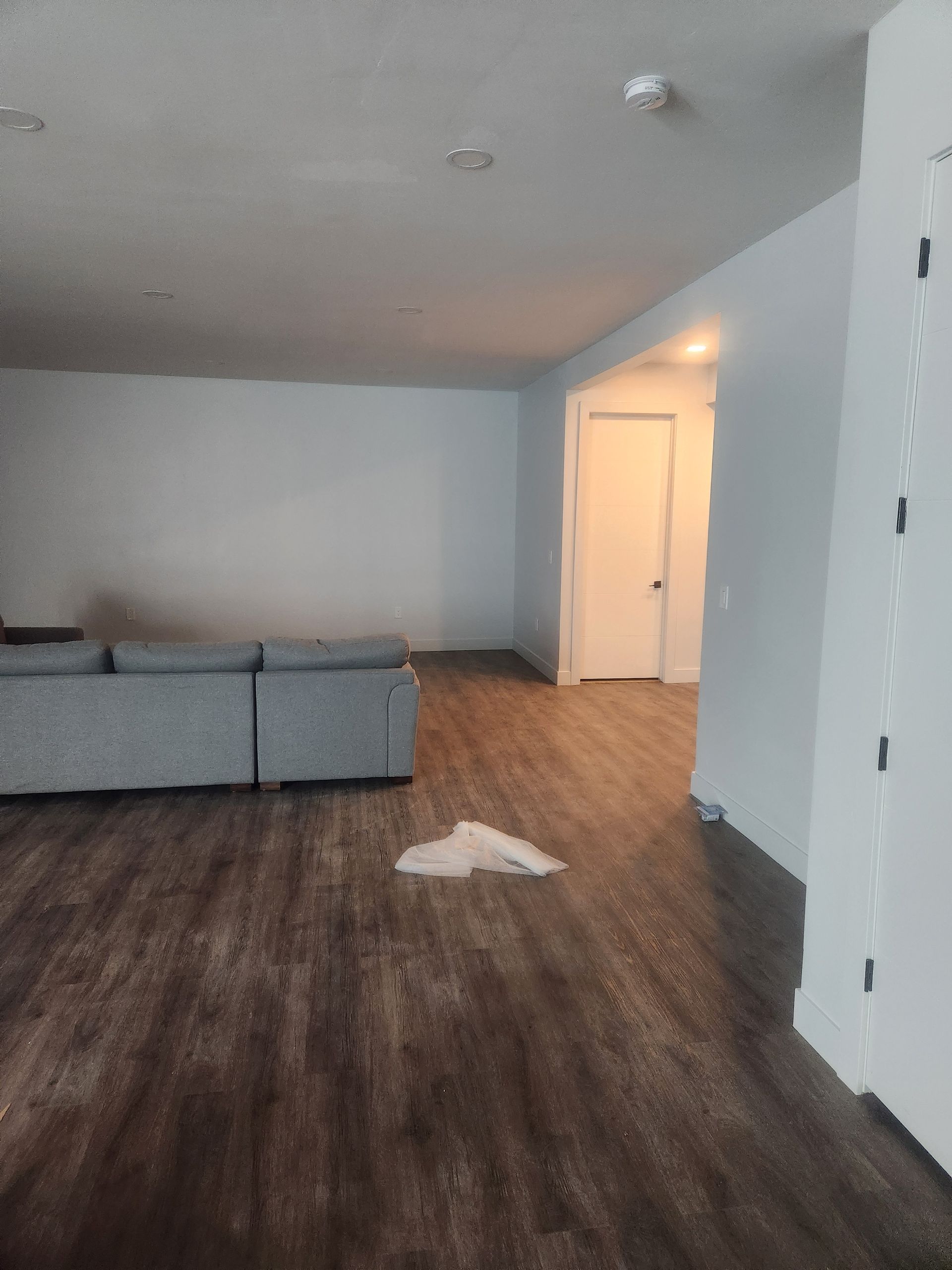 Empty living room with gray couch, wood floor, and hallway to a lit doorway