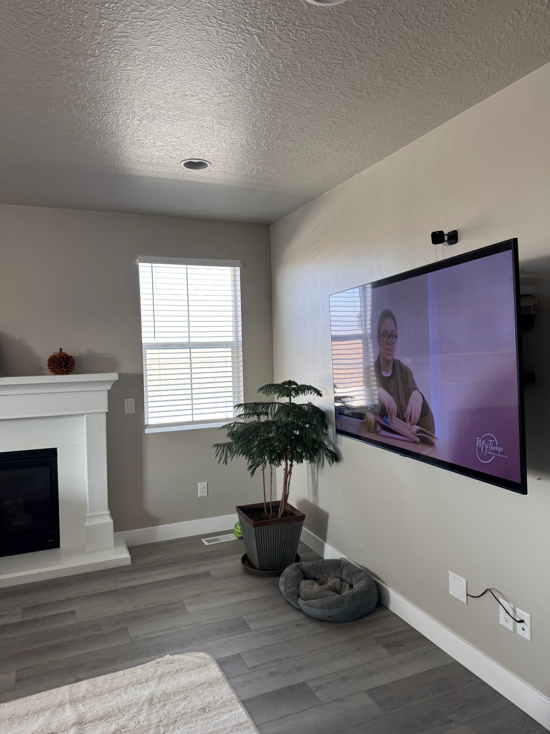 Living room with wall-mounted TV, fireplace, window, and two potted plants on gray wood flooring