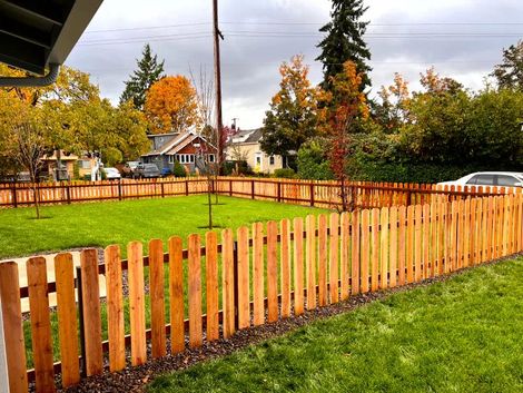 Backyard With Fence