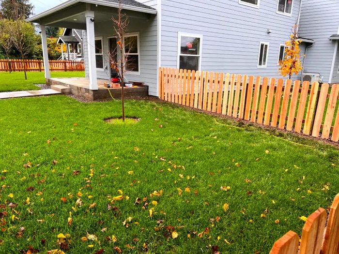 Wood Fence