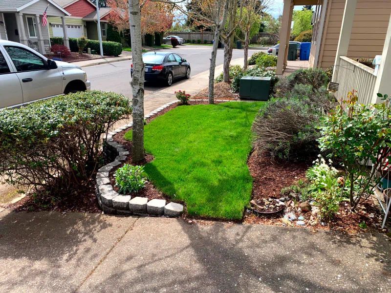 Front Yard With Green Lawn