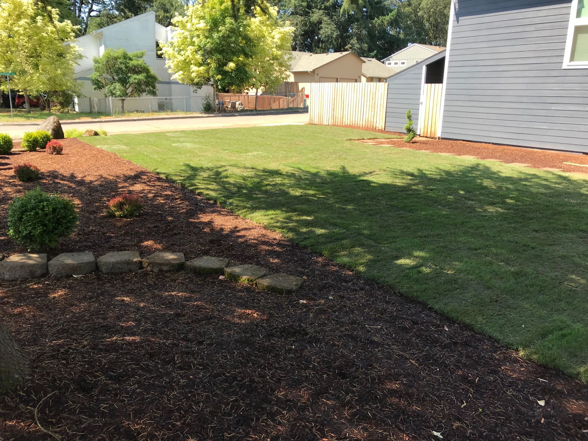 Lawn in Backyard