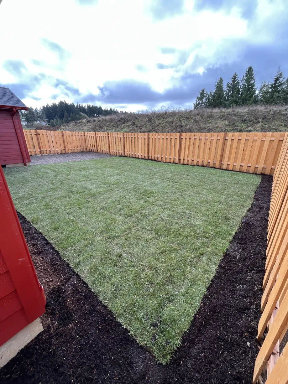 Backyard With Green Lawn and Wood Fence