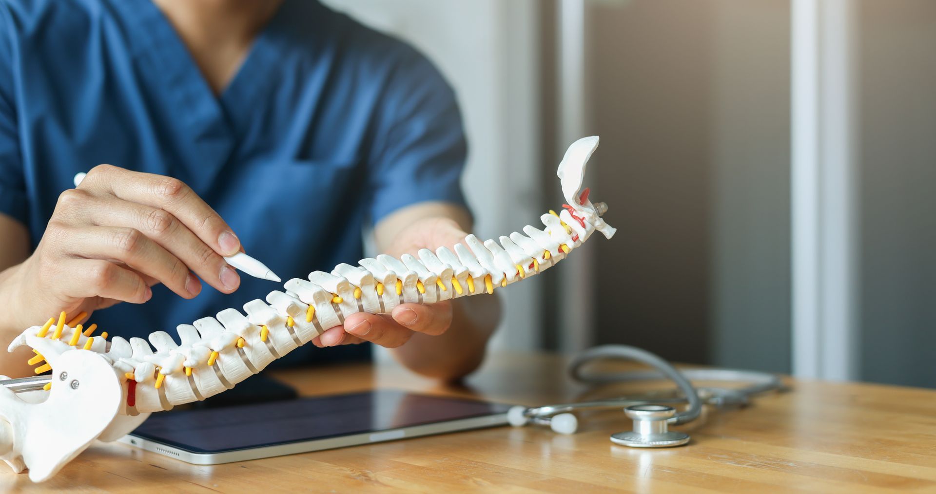 Specialist showing a human spine model at a chiropractor clinic to explain back pain relief. Specialist showing a human spine model at a chiropractor clinic to explain back pain relief.
