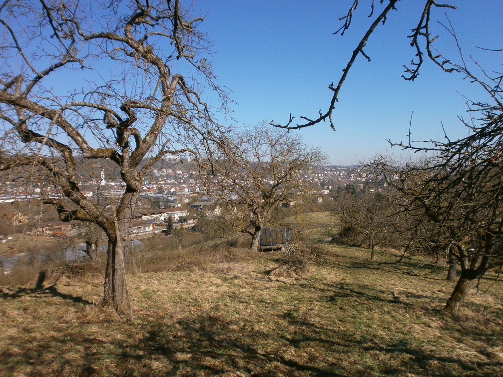 Streuobstwiesen