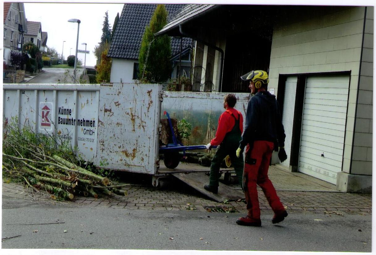 Baumpfleger beim Holztransport