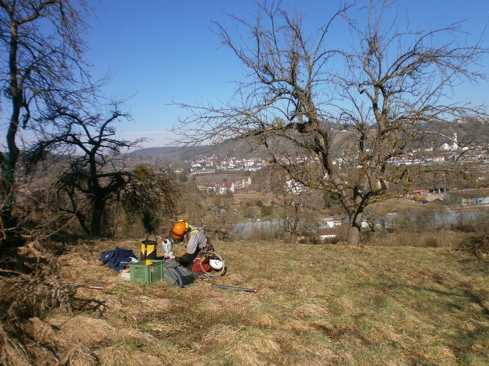 Baumpfleger mit Werkzeug auf einer Obstbaumwiese am Tübinger Stadtrand.
