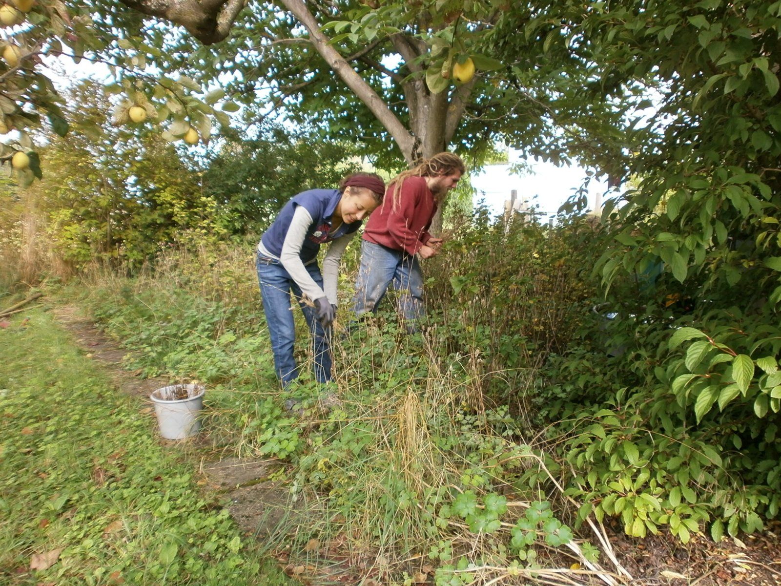 Zwei Gartenhelfer*innen bei der Gartenpflege
