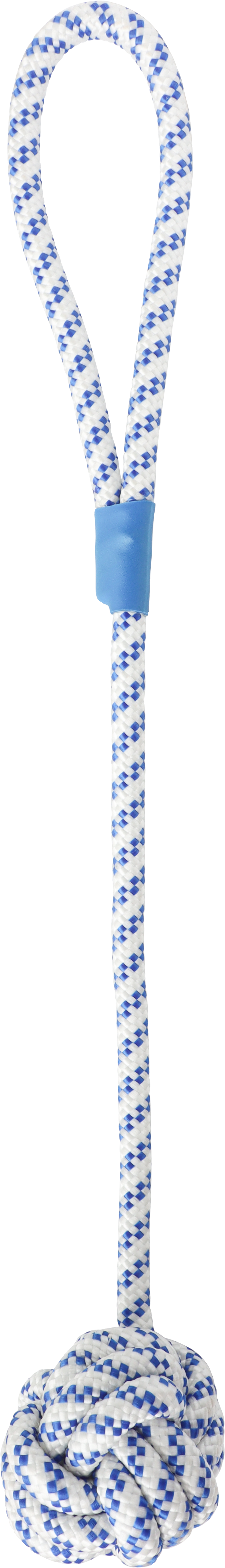 C006