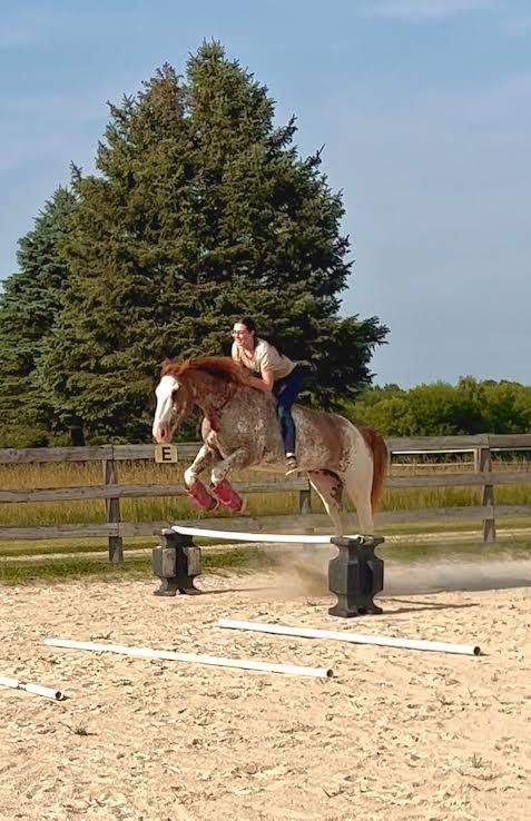Woman riding a horse over an obstacle in an outdoor arena