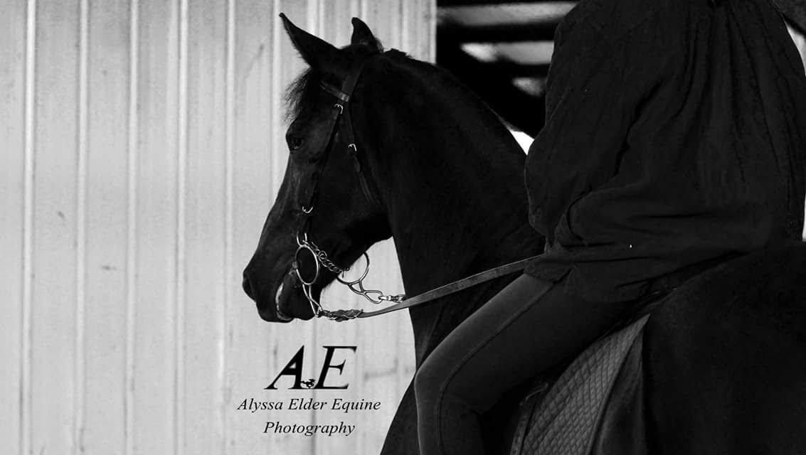 Black horse beside a person in dark clothing, standing in front of a stable door with an AE sign.