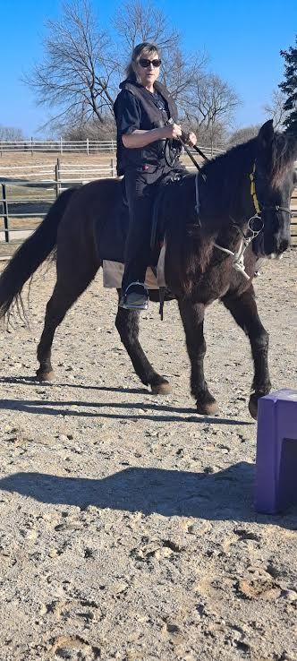 Person riding a dark horse in a sunny outdoor arena, wearing a black jacket and sunglasses.