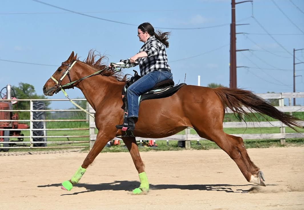 Person riding a brown horse in an outdoor arena, with green leg wraps and a clear sky.