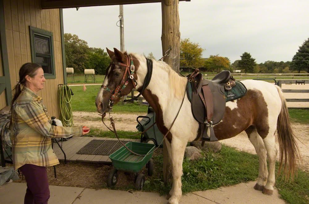 Person stands beside a saddled brown-and-white horse at a farm stable with a wheelbarrow nearby.