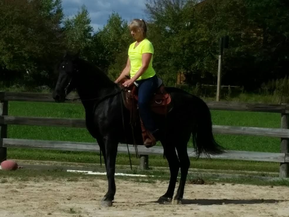 Person in neon yellow shirt riding a black horse in a fenced outdoor arena.