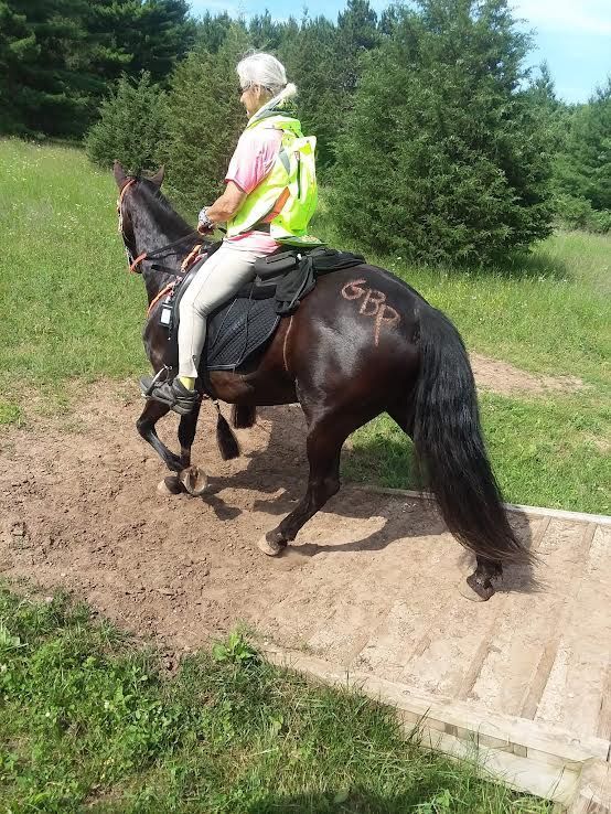 Person riding a dark horse on a dirt path in a green field, with trees in the background