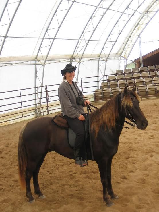 Rider on a dark horse inside a covered riding arena with sand footing
