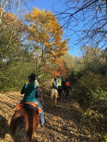 People horseback riding on a leafy forest trail under autumn trees and blue sky