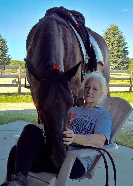 Person seated beside a black horse on a porch, with a sunny yard and fence in the background