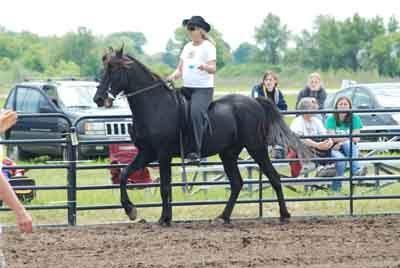 Rider on a black horse in an outdoor arena, with spectators and parked trucks behind the fence