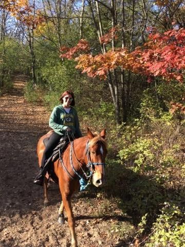 Person riding a brown horse on a wooded trail in autumn.