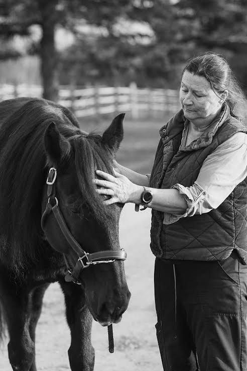Woman petting a black horse outdoors near a fence